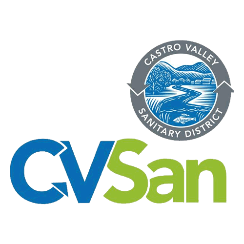 cvsan-logo