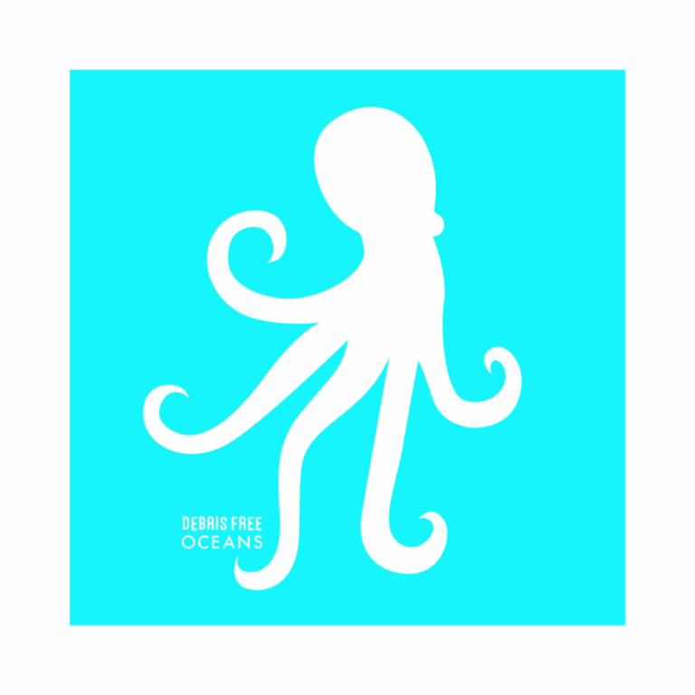 Debris Free Oceans
