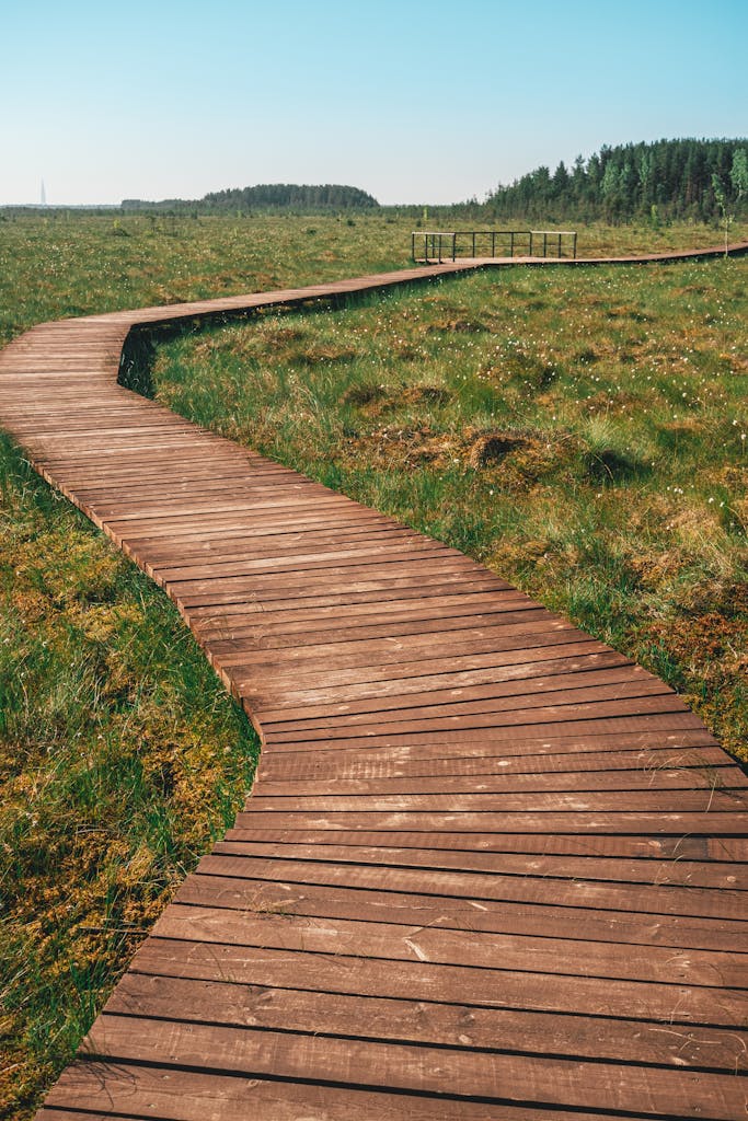 Wooden boardwalk winding through lush, rural landscape on a sunny day.